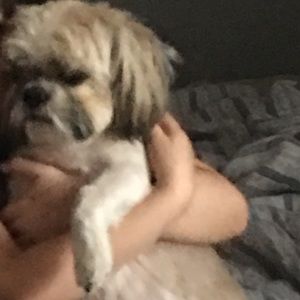 Meet your Posher, Jeffrey